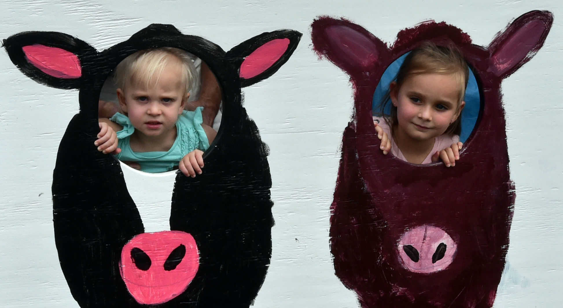 Washington County Fair